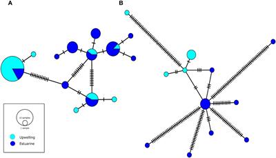 Local scale extreme low pH conditions and genetic differences shape phenotypic variation in a broad dispersal copepod species